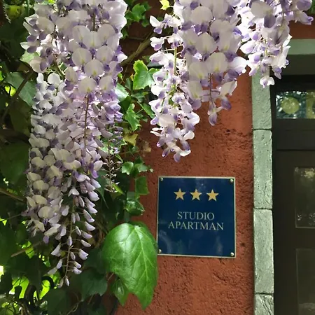 Apartment Lavanda